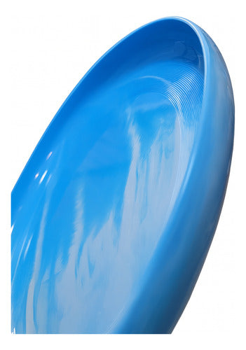 Disco Volador Frisbee 27cm Variedad Colores 125 Grs.