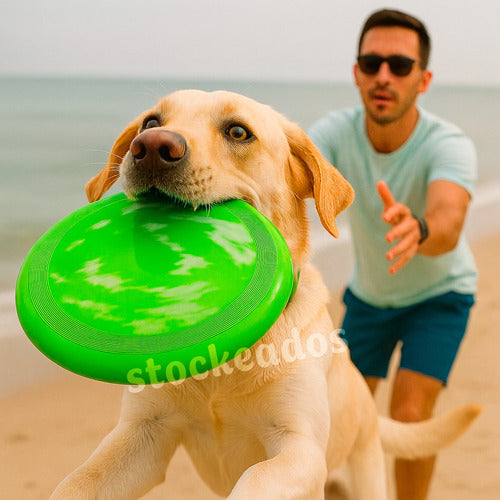 Disco Volador Frisbee 27cm Variedad Colores 125 Grs.