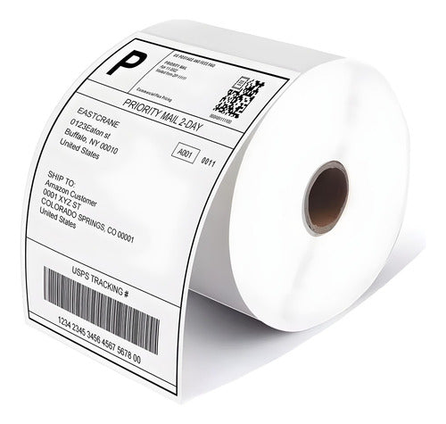 Packaging y organización