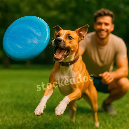 Disco Volador Frisbee 27cm Variedad Colores 125 Grs.