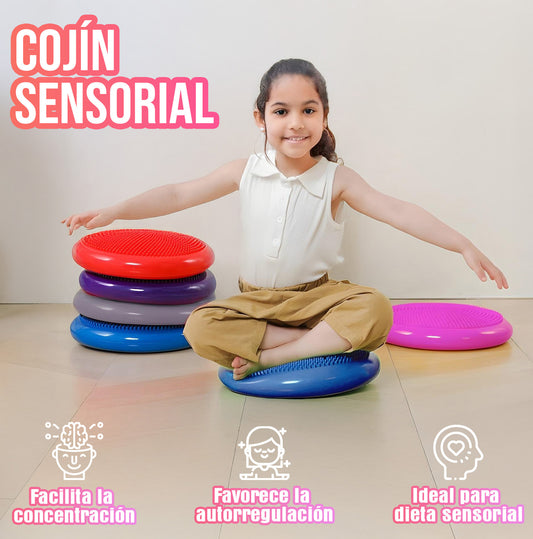 Cojin Yoga Sensorial Propioceptivo Tea Color Rojo + Inflador